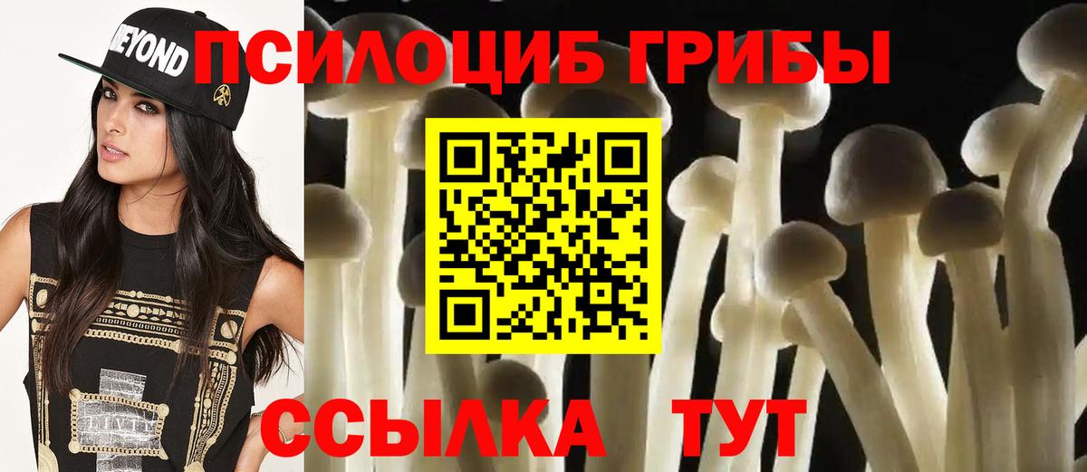 Миасс  Псилоцибиновые грибы мицелий  дарнет шоп  Вход с VPN 