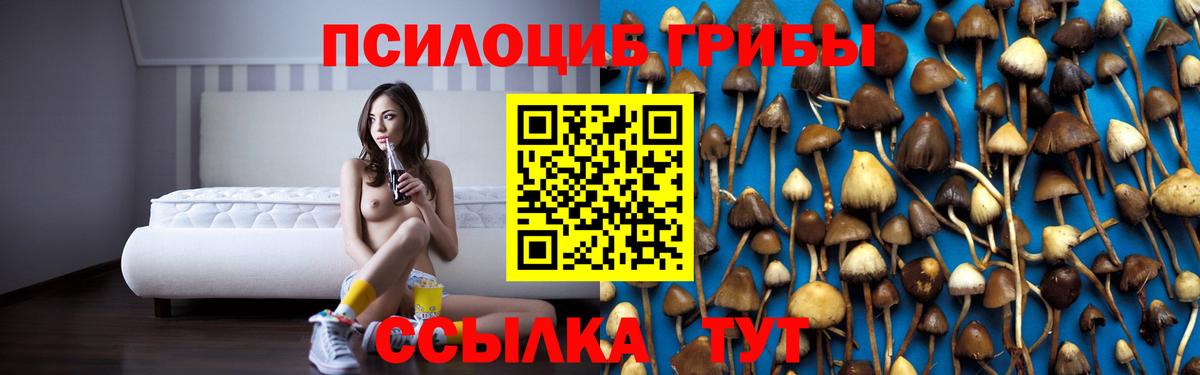 Галлюциногенные грибы Cubensis Миасс
